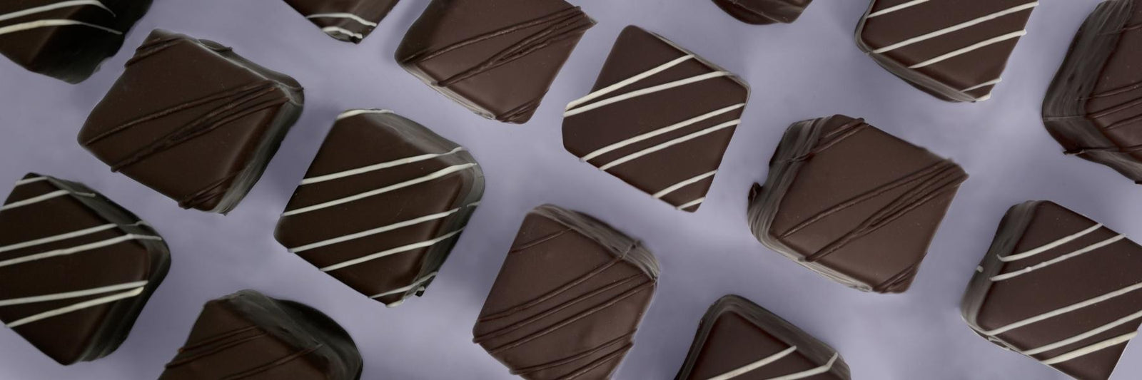 Dilettante Chocolates Chocolate-Covered Marshmallow Featuring Triple Chocolate and Vanilla Bean Marshmallows