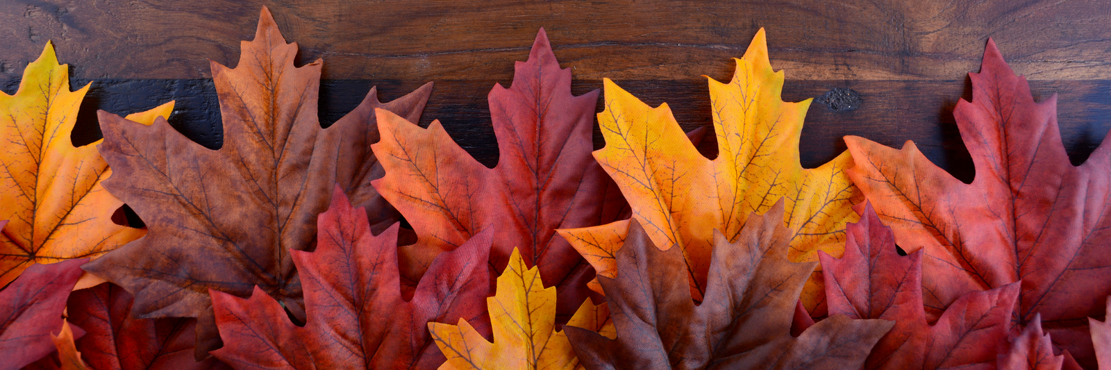Vibrant fall leaves against a wood background