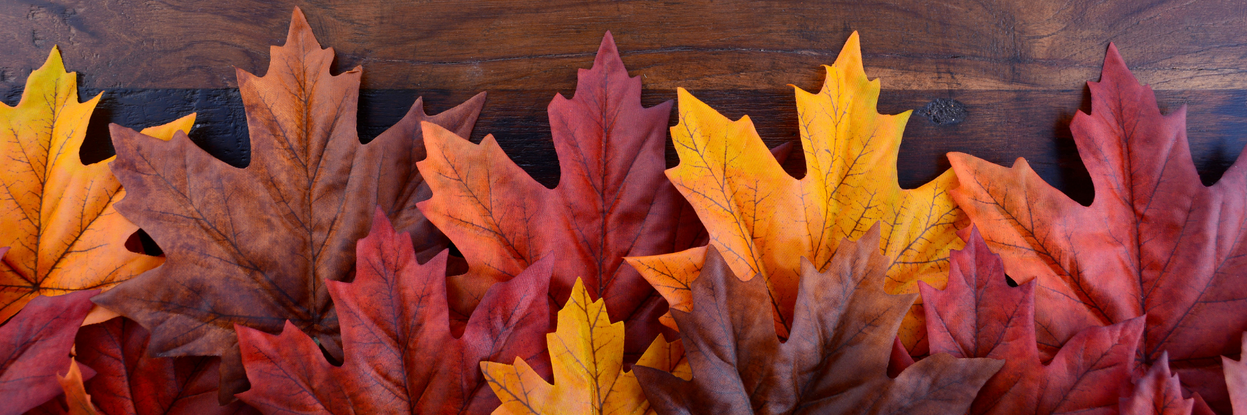 Vibrant fall leaves against a wood background 