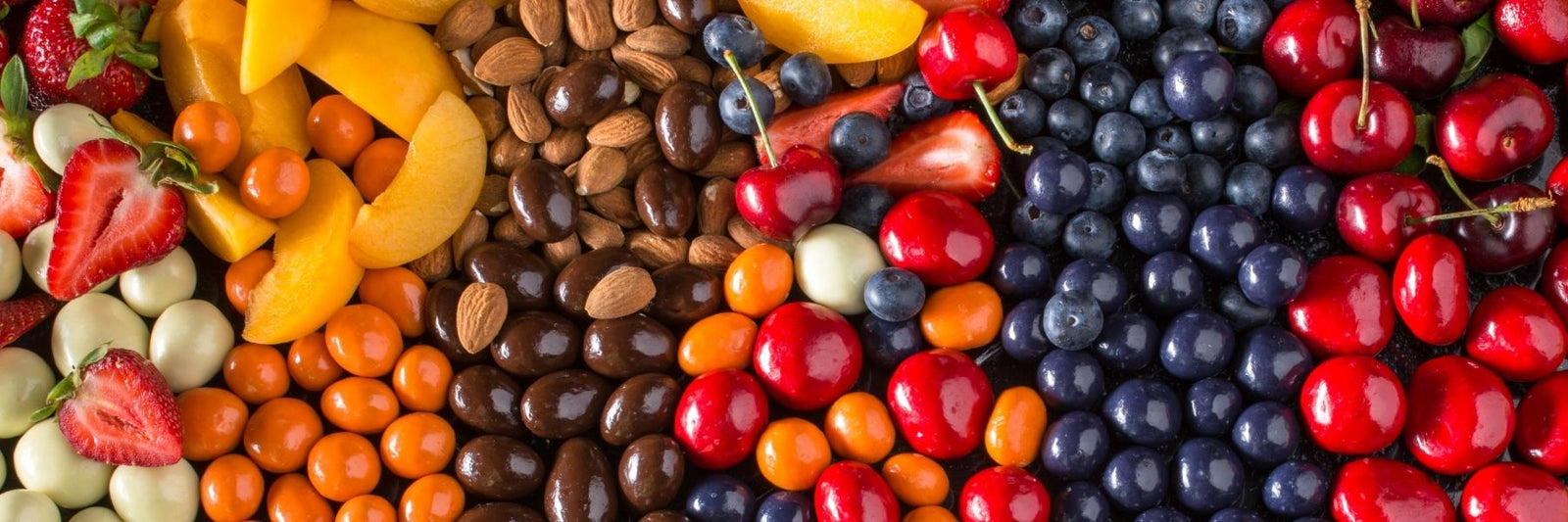 Dilettante Chocolates Chocolate-Covered Fruit Medley Arrangement