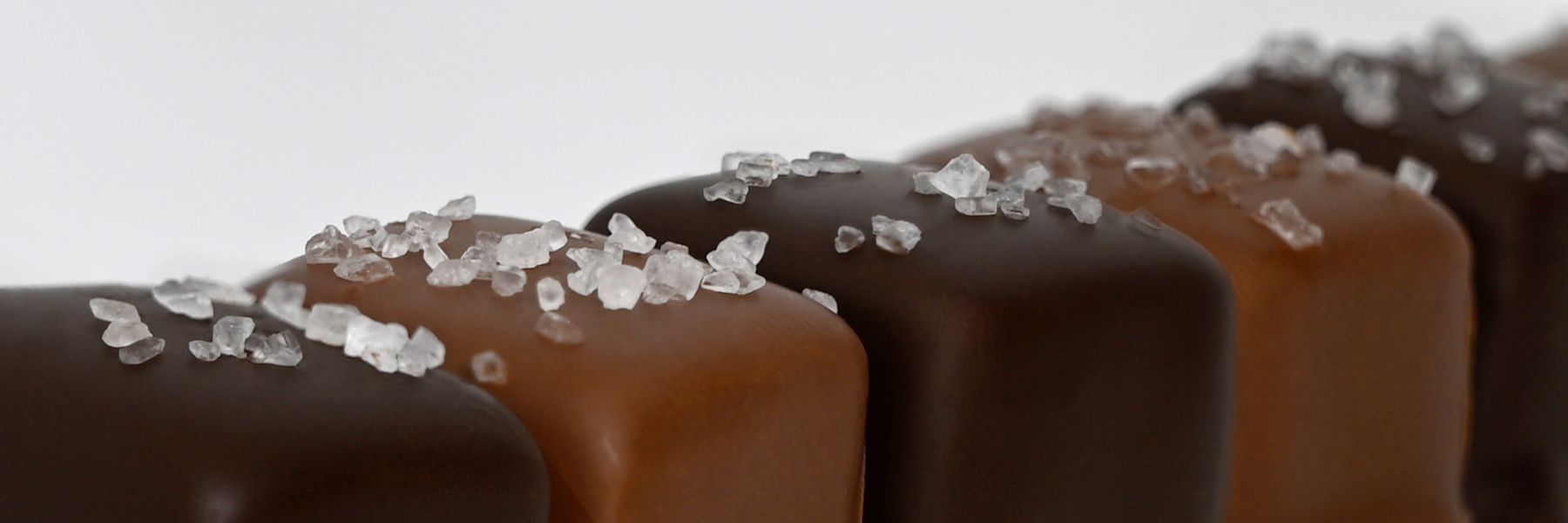 Dilettante Chocolates Milk and Dark Chocolate Caramels