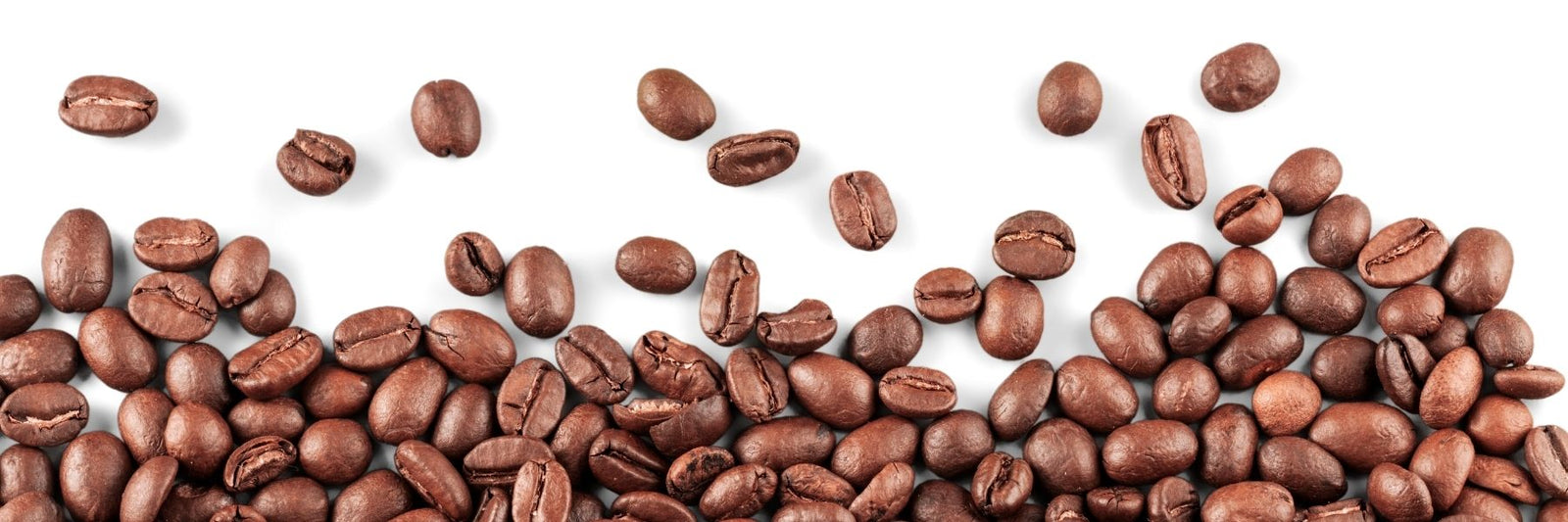 Dilettante Chocolates Signature Hapsburg Bean Blend Against a White Background