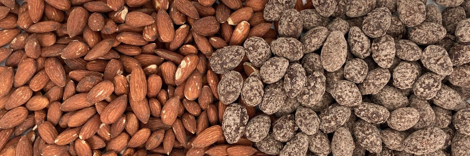 Dilettante Chocolates Turbinado Almonds with Regular Salted Almonds