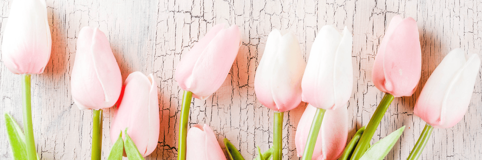 Dilettante chocolates Mother's Day Gift Guide Featuring Dilettante's Best Chocolate Gifts