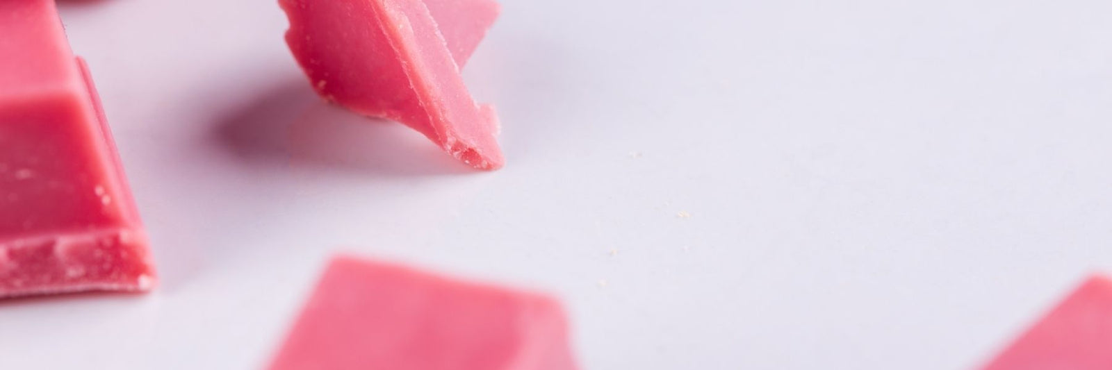 Dilettante Chocolates Ruby Cacao Chocolate Blog Banner