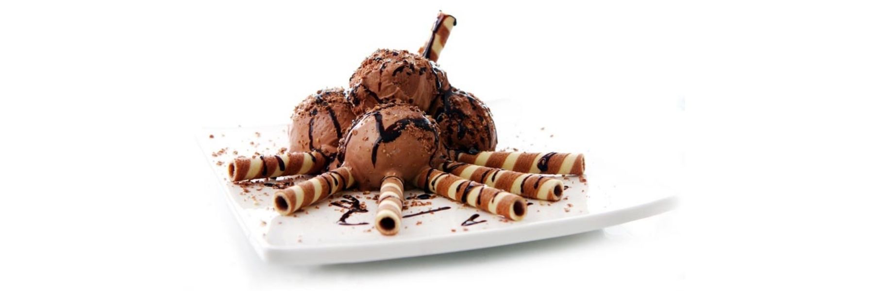 Chocolate Ice-cream with Chocolate Wafers and Sauce