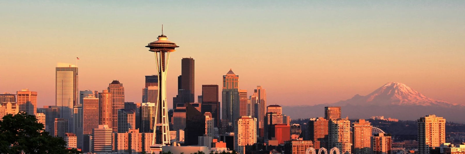 Photo of the Seattle Skyline in the Daytime