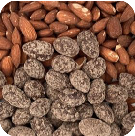 Dilettante Chocolates Chocolate-Covered Turbinado Almonds