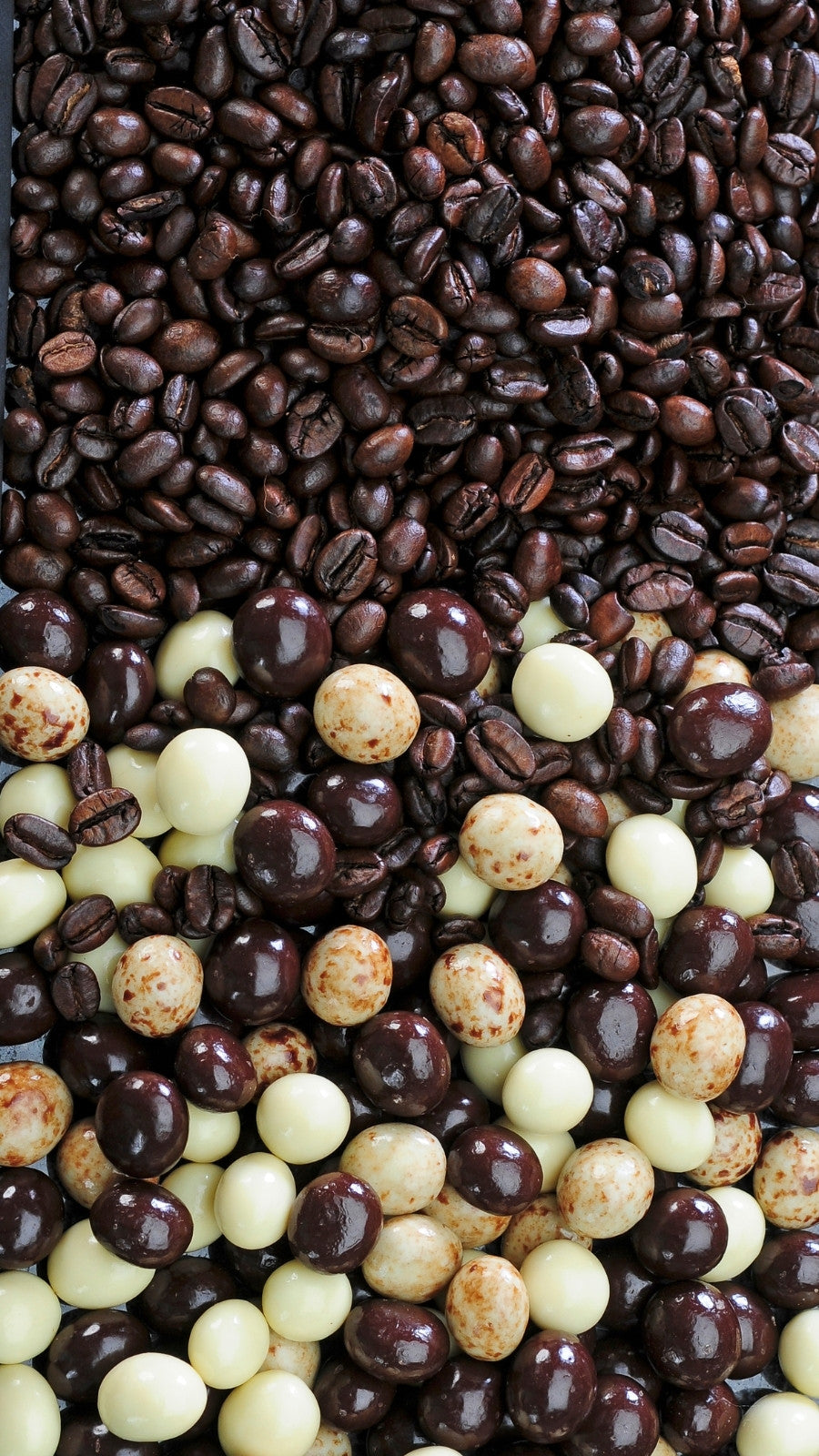 Dilettante Chocolates espresso beans and chocolate covered espresso beans in white chocolate, dark, chocolate, milk chocolate, and in a special cheetah bean blend